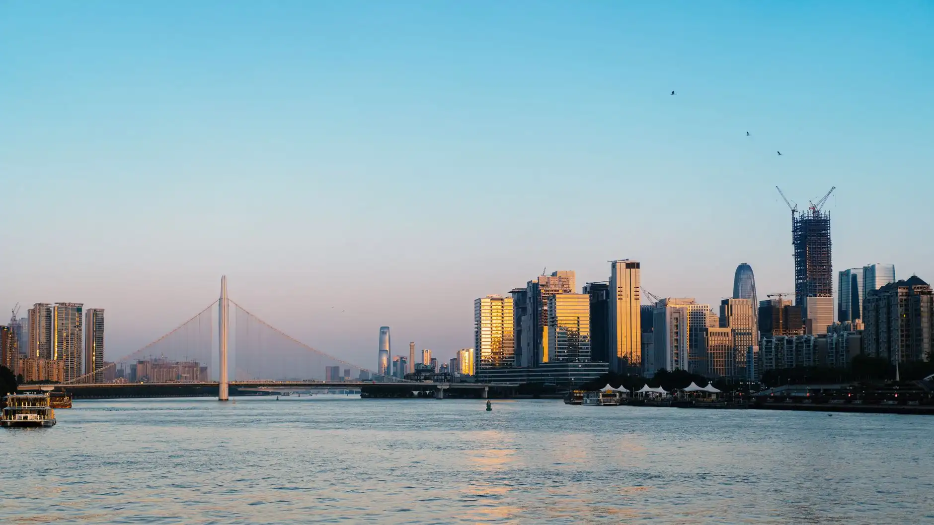 专利申请与版权登记并行：深圳科技企业构建知识产权壁垒的实务路径