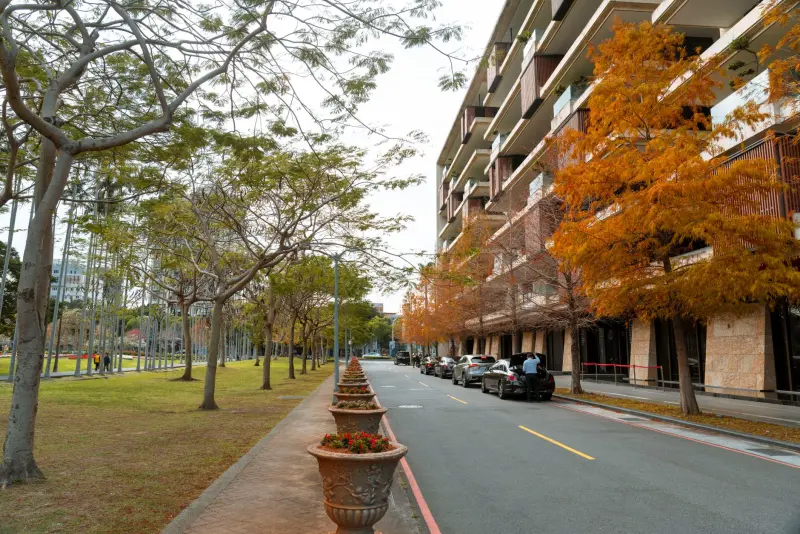 专利申请与版权登记协同布局：华南科技企业构建知识产权壁垒的实践思路