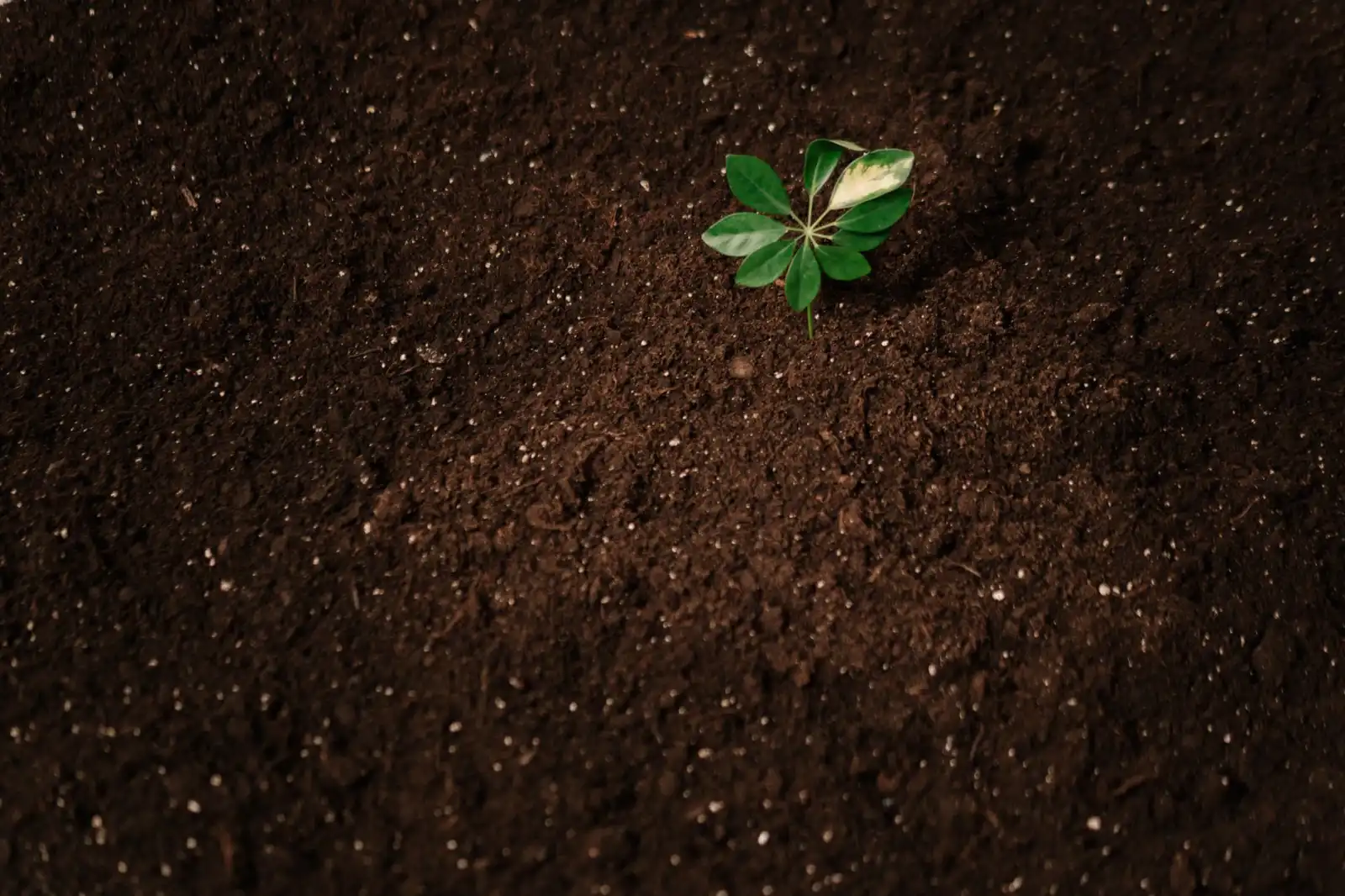 深圳企业商标注册与专利申请全流程指南：环润知识产权详解
