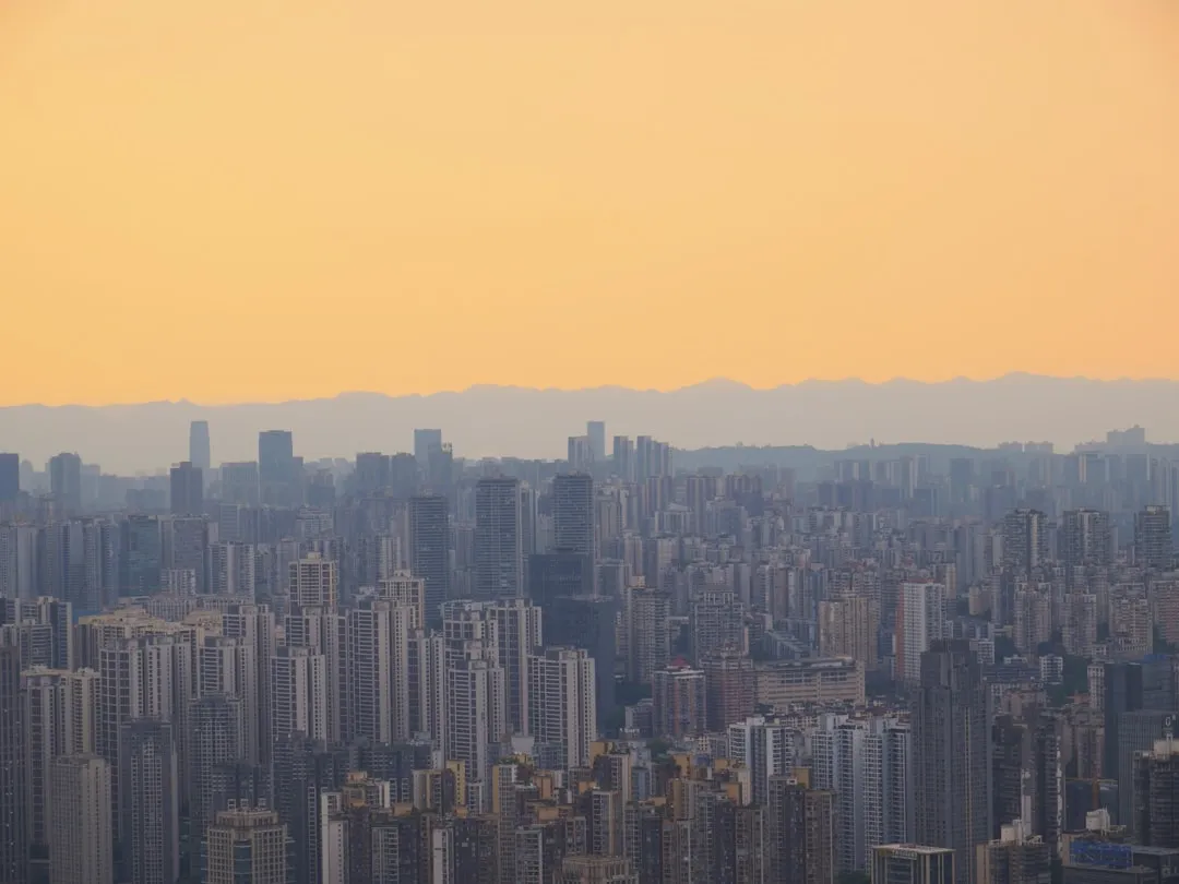 2024年深圳知识产权代理机构服务能力对比分析
