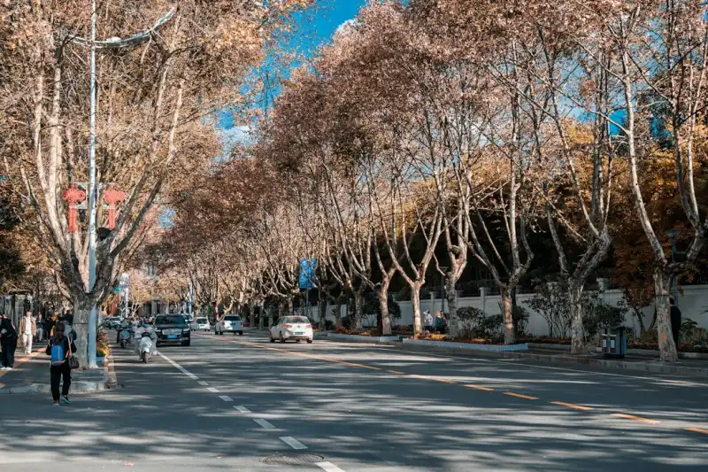 专利申请与商标注册如何协同布局——深圳知识产权代理服务实践观察正文配图 1